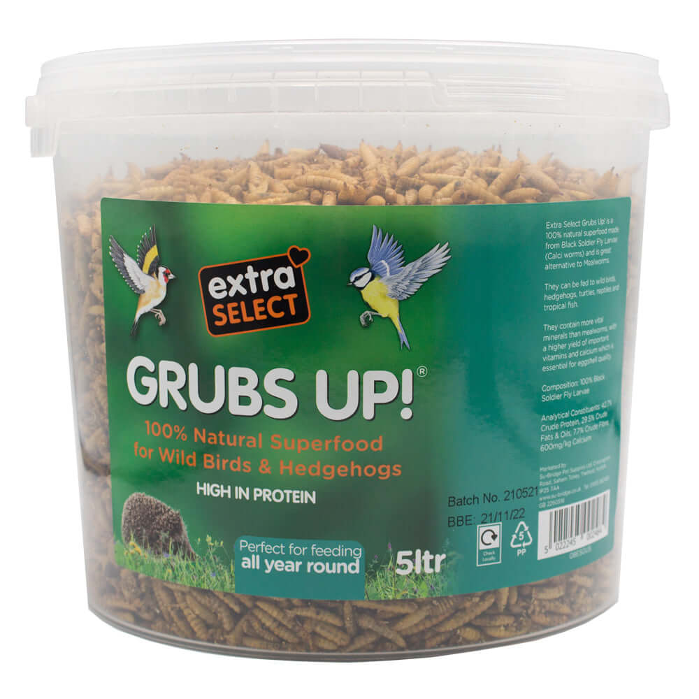 Extra Select Grubs Up