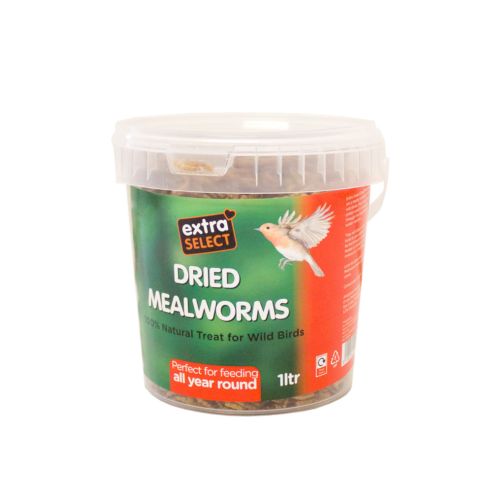 Mealworms