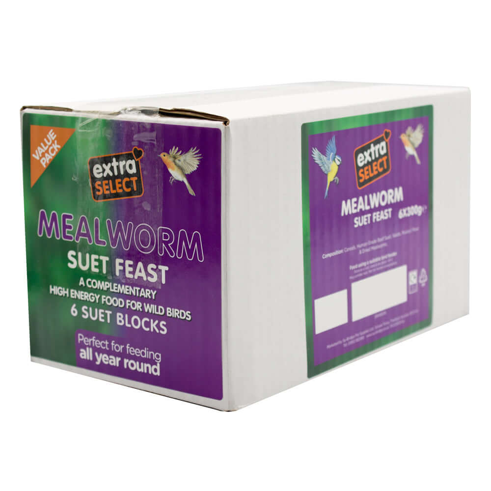 Extra Select Mealworm Suet Block 6 x 300g