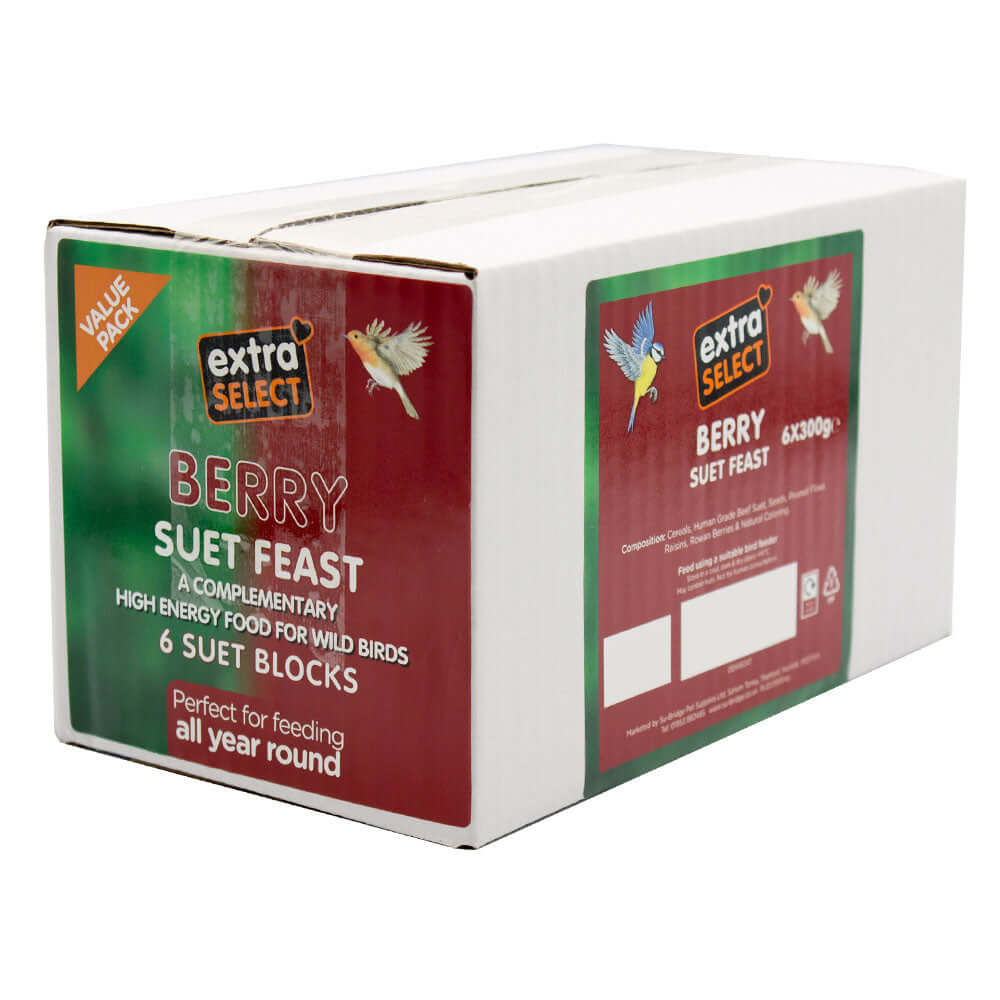 Extra Select Berry Suet Block for wild birds 6 x 300g