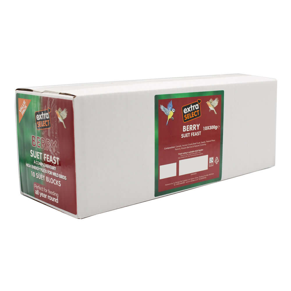 Extra Select Berry Suet Block for wild birds 10 x 300g