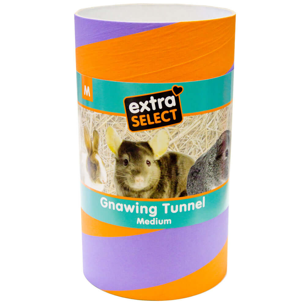 Small Animal' Gnawing Tunnel