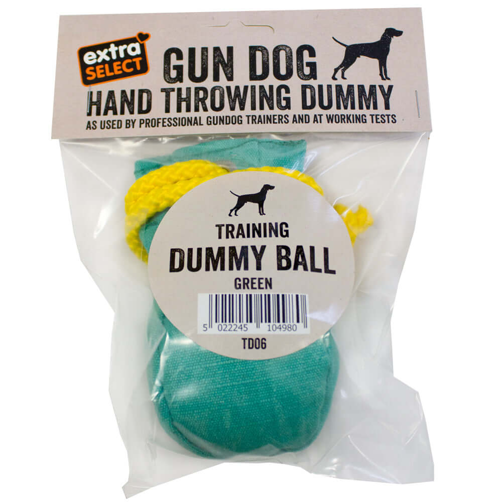 Training Dummy Ball Green