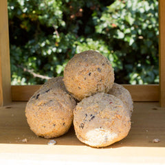 photo of Extra Select Mini Dumplings Suet Balls on a bird table during the summer