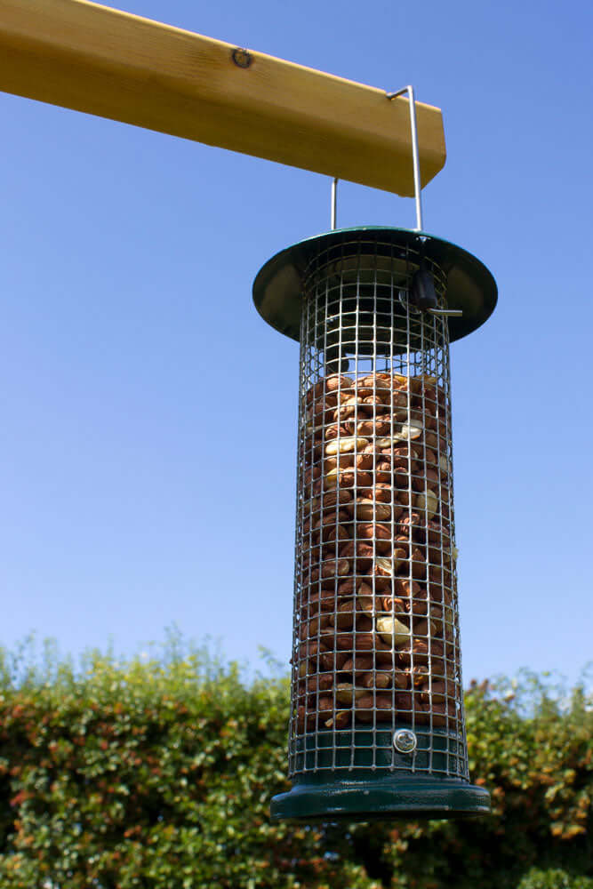 Extra Select Wild Bird Food Peanuts in a peanut hanger